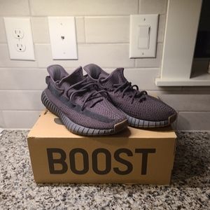 Yeezyz 350 V2 Cinder